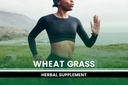 pure-original-ingredients-wheat-grass-73-5.jpg