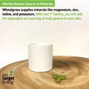 on-target-living-wheatgrass-tablets-500--5.jpg