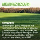 on-target-living-wheatgrass-tablets-500--6.jpg