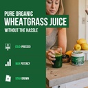 organic-wheatgrass-juice-powder-organic--2.jpg