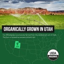 organic-wheatgrass-juice-powder-organic--6.jpg