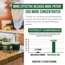 organic-wheatgrass-juice-powder-organic--5.jpg