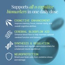 essential-brain-health-supplements-nootr-3.jpg