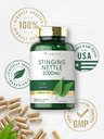 carlyle-stinging-nettle-leaf-extract-300-5.jpg