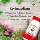 christopher-s-original-formulas-blood-st-4.jpg
