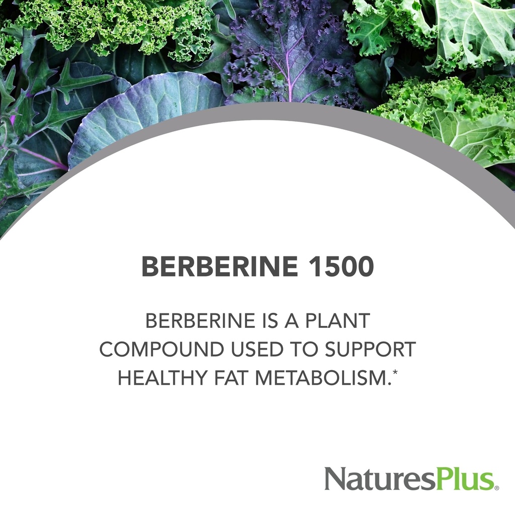 naturesplus-pro-berberine-1500-mg-60-tab-4.jpg