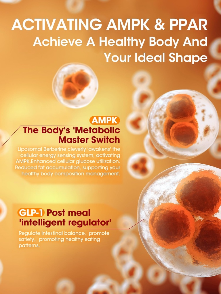 greenpeople-liposomal-berberine-hcl1300m-3.jpg
