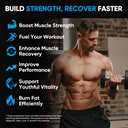 venture-pal-100-pure-micronized-creatine-5.jpg