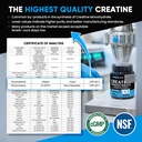 venture-pal-100-pure-micronized-creatine-3.jpg