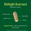 bestvite-pure-shilajit-extract-500mg-120-5.jpg