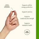 swanson-ubiquinol-100-mg-for-heart-healt-4.jpg