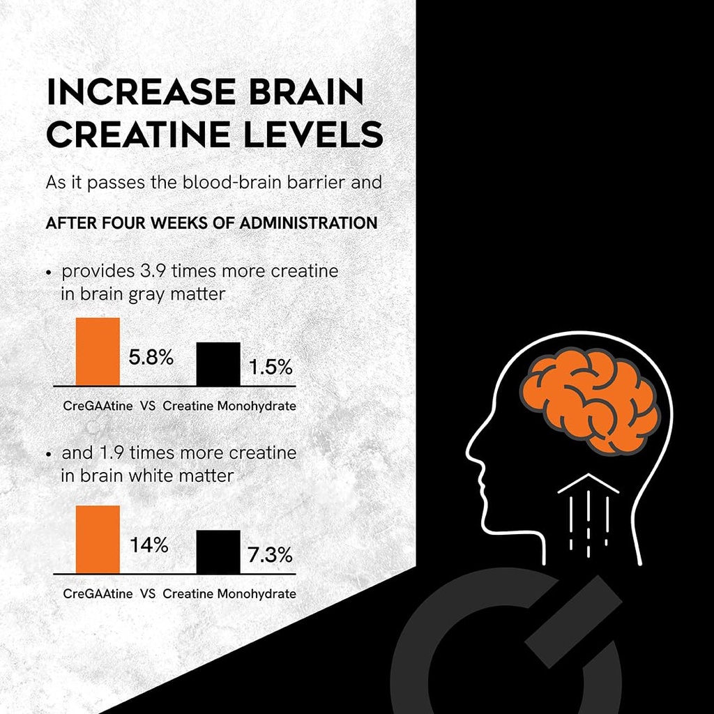 micronized-creatine-monohydrate-gaa-incr-3.jpg