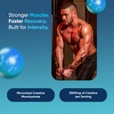 weightworld-micronized-creatine-monohydr-2.jpg