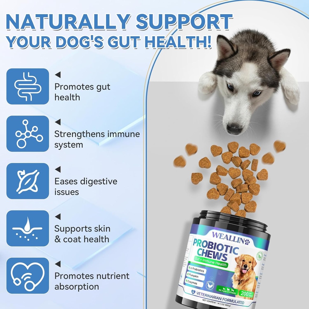 200-pcs-probiotics-for-dogs---dog-probio-2.jpg