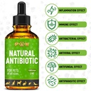 dog-antibiotics-for-infection-coughs-uti-2.jpg