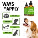 dog-antibiotics-for-infection-coughs-uti-5.jpg