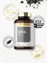 carlyle-dhea-100mg-supplement-300-capsul-5.jpg