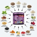 clean-nutra-organic-milk-thistle-supplem-4.jpg