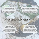 elanen-naturals-liu-wei-di-huang-wan-reh-5.jpg