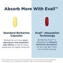 designs-for-health-berberine-evail-enhan-4.jpg