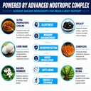 brain-supplements-for-memory-focus-nootr-4.jpg