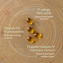 new-chapter-wholemega-fish-oil-supplemen-3.jpg
