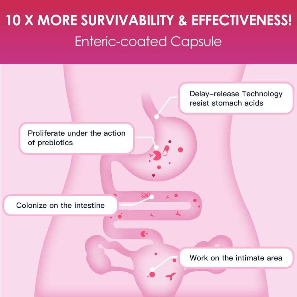 drfoster-probiotics-for-women-digestive--5.jpg
