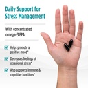 nordic-naturals-mood-support-omega-blend-4.jpg