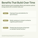seed-am-02-energy-focus-daily-nootropic--4.jpg