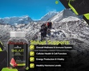 shilajit-gummies-pure-himalayan-shilajit-4.jpg