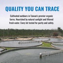 on-target-living-spirulina-chlorella-cgf-5.jpg