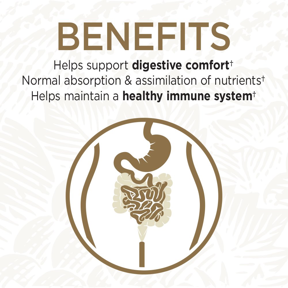 garden-of-life-probiotics-for-digestive--3.jpg