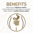 garden-of-life-probiotics-for-digestive--3.jpg