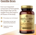 solgar-gentle-iron-25mg-90-vegetable-cap-3.jpg