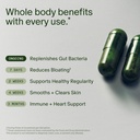 seed-ds-01-daily-synbiotic-am-02-energy--3.jpg