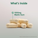jarrow-mastic-gum-1000mg-doctor-s-best-p-4.jpg