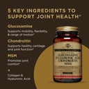 solgar-glucosamine-hyaluronic-acid-chond-4.jpg
