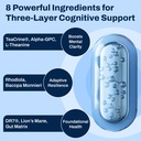 gutbrain-brain-supplement-for-memory-and-6.jpg