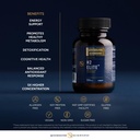 quicksilver-scientific-h2-elite-molecula-4.jpg