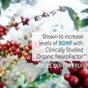 garden-of-life-dr-formulated-organic-bra-3.jpg