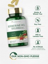 carlyle-berberine-hcl-supplement-500-000-5.jpg