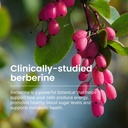 humann-superberine-berberine-supplements-5.jpg