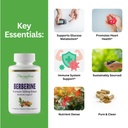 paradise-herbs-berberine-extract-500-mg--2.jpg