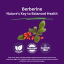 paradise-herbs-berberine-extract-500-mg--3.jpg