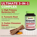 vitalibre-berberine-with-ceylon-cinnamon-6.jpg
