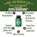 dihydroberberine-super-berberine-supplem-2.jpg