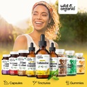 wild-organic-yohimbe-supplements-for-men-5.jpg