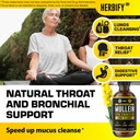 herbify-mullein-drops-lung-cleanse-leaf--5.jpg