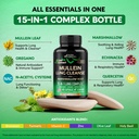 mullein-lung-detox-mullein-leaf-10-1-ext-5.jpg
