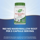 natures-way-marshmallow-root---marshmall-4.jpg